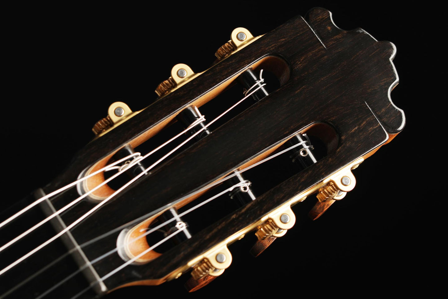 Paulino Bernabé - 2020 Concierto