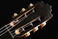 Paulino Bernabé - 2020 Concierto