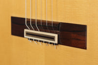 Paulino Bernabé - 2020 Concierto