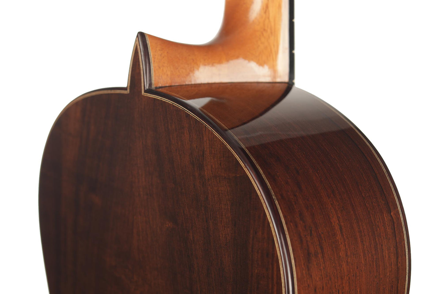 Paulino Bernabé - 2020 Concierto