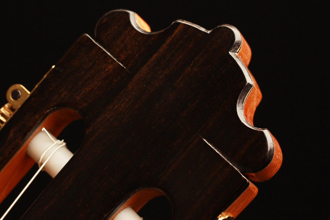 Paulino Bernabé - 2019 Especial