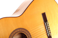 Pedro Muriel - Flamenca 2017 CF