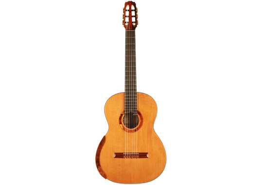 Petr Matoušek - 2008