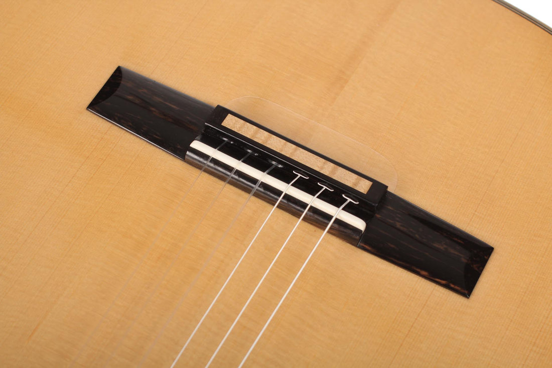 Rafael Moreno - 2017 CF