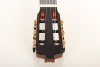 Rafael Moreno - 2017 CF