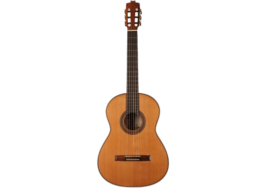 Rafael Moreno - 2016 CF