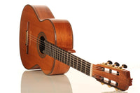 Rafael Moreno - 2016 CF