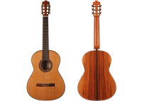 Rafael Moreno - 2016 CF