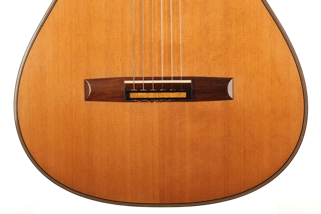 Rafael Moreno - 2016 CF