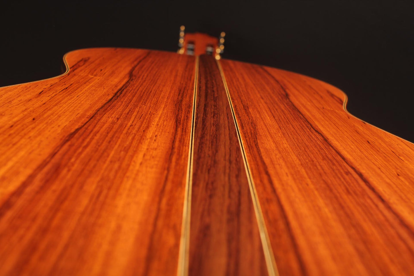 Rafael Moreno - 2016 CF