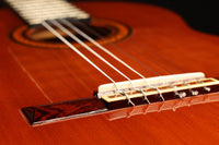 José Ramirez - 1970 1A Flamenca