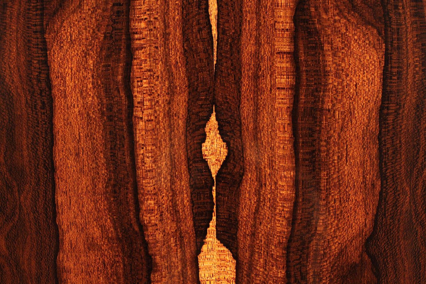 René Baarslag - 2018 CF