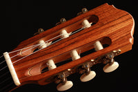 Rolf Eichinger - 2006 64cm