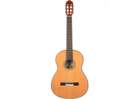 Roy Fankhänel - Torres cedar 2018 CF
