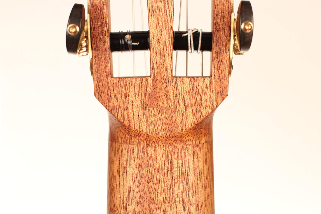 Roy Fankhänel - Torres cedar 2018 CF