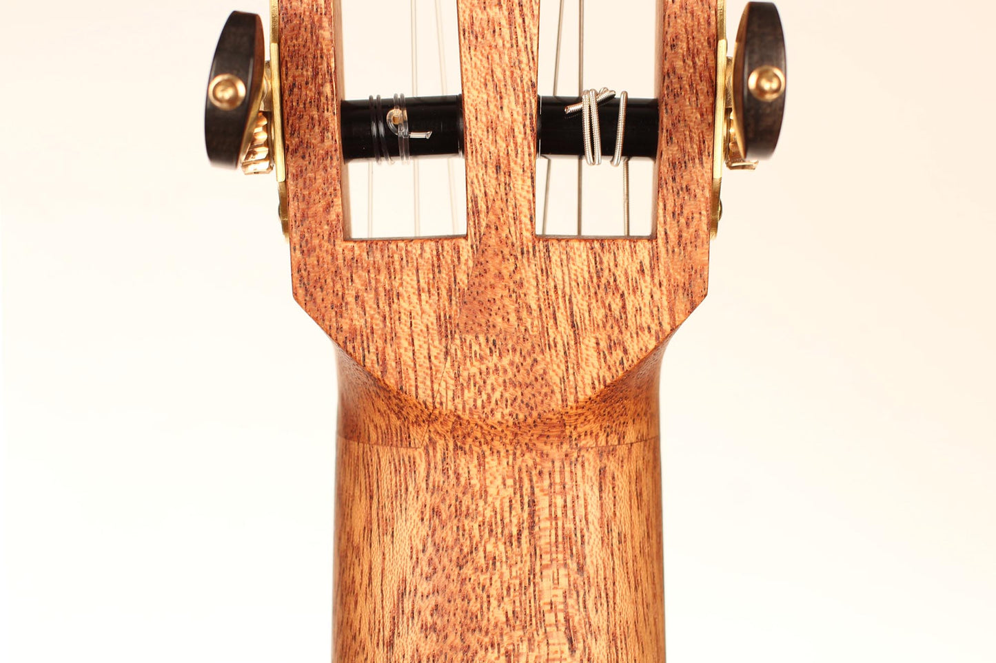 Roy Fankhänel - Torres cedar 2018 CF