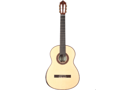 Roy Fankhänel - Special Edition 2018 CF