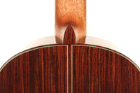 Roy Fankhänel - Torres 2018