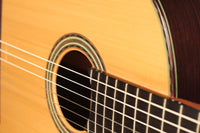 Roy Fankhänel - Torres 2018