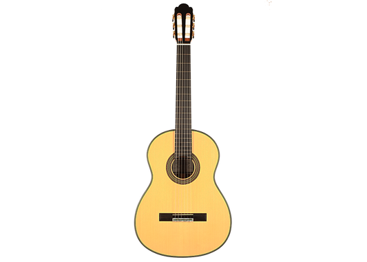 Roy Fankhänel - 2019 RF 196 64cm