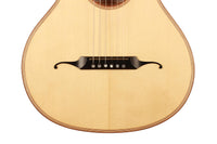 Simon Burgun - 2019 Stauffer model