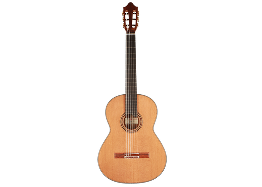 Thomas Ochs - 2019 Doubletop