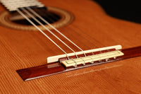 Tobias Braun – 2019 „Santos Hernandez 1924“