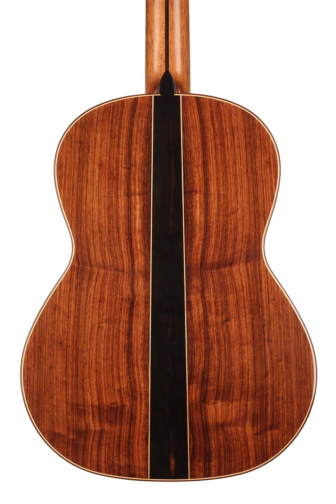 Wolfgang Jellinghaus - "Signature Doubletop" 64 cm