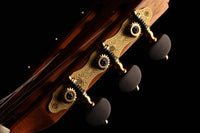 Wolfgang Jellinghaus - "Signature Doubletop"