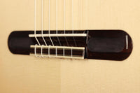Yulong Guo - Chamber Concert Doubletop Spruce