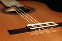 Yvo Haven - 2019 Concert