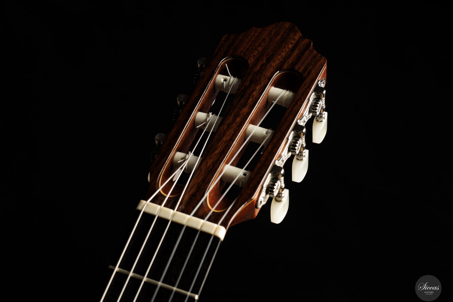 Albert & Müller - 1999 CL1