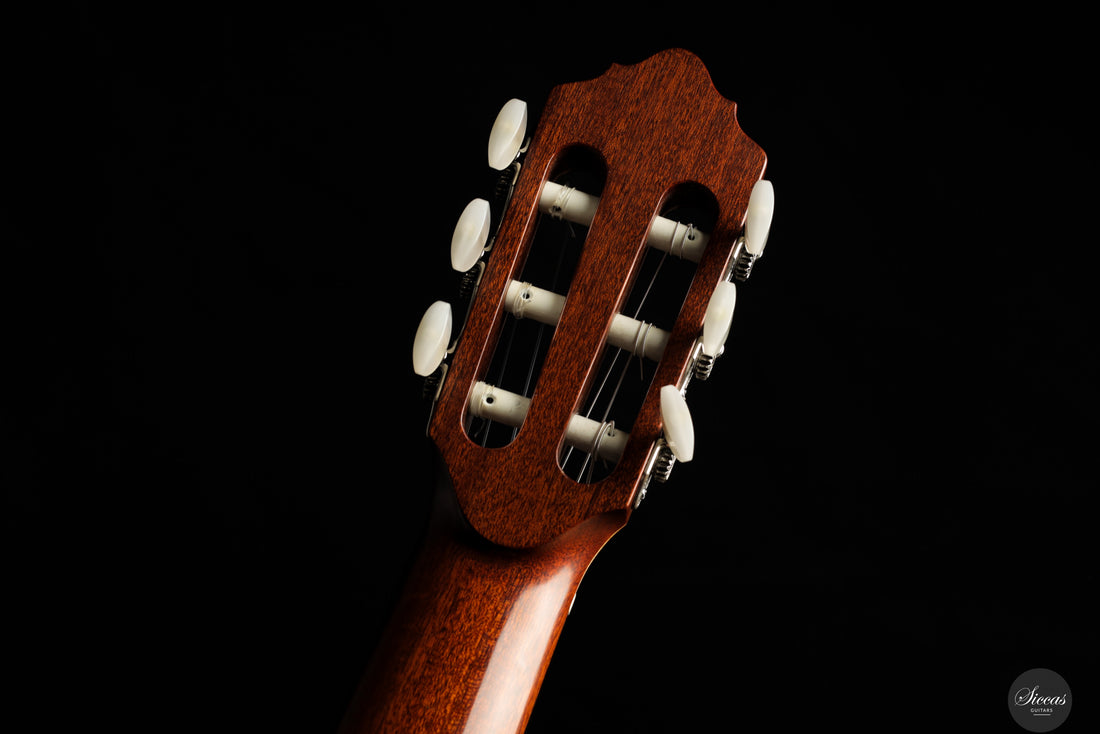 Albert & Müller - 1999 CL1