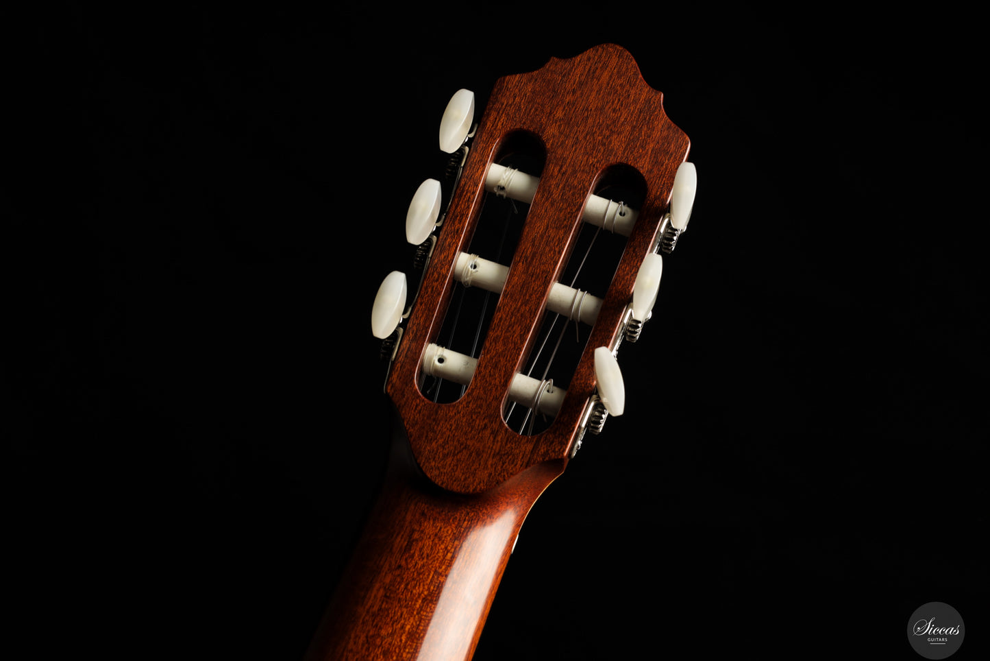 Albert & Müller - 1999 CL1