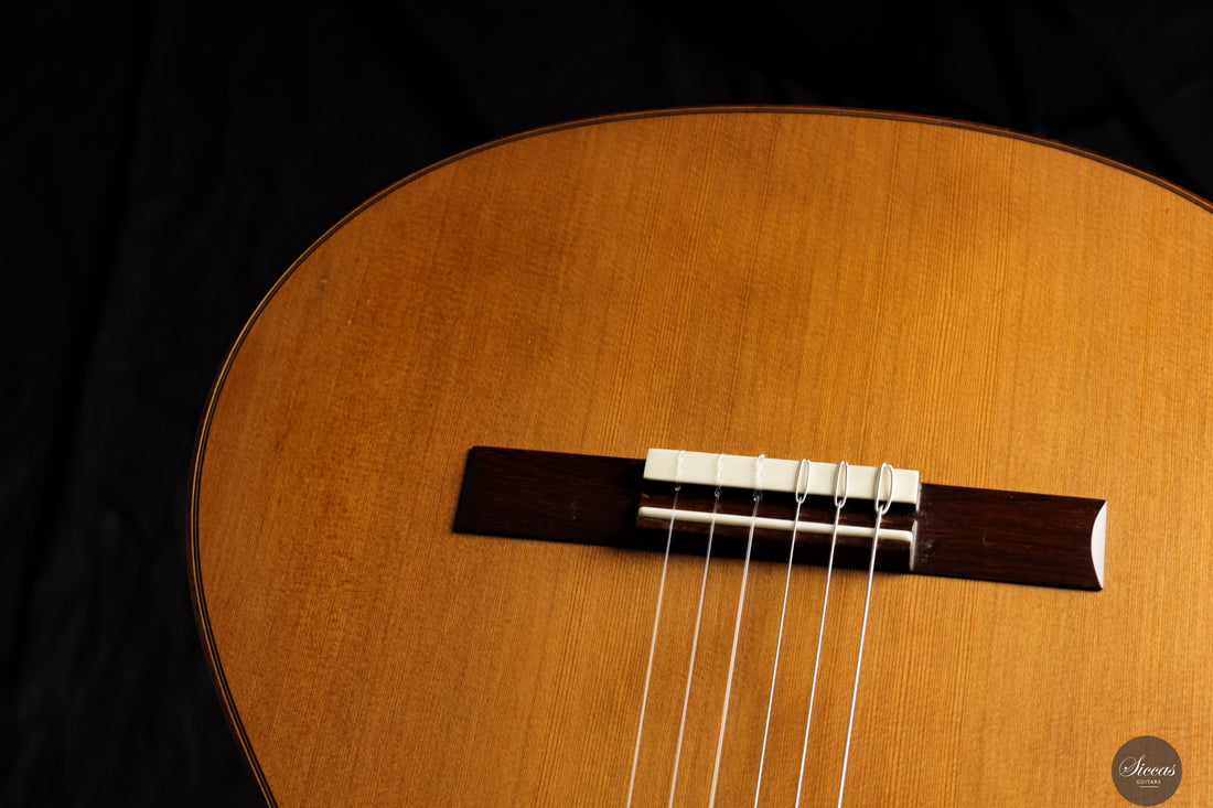 Albert & Müller - 1999 CL1