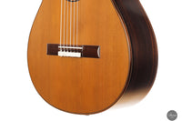 Albert & Müller - 1999 CL1