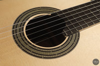 Alessandro Perciaccante - 2026 No. 22 64 cm