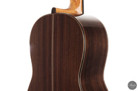 Alessandro Perciaccante - 2026 No. 22 64 cm