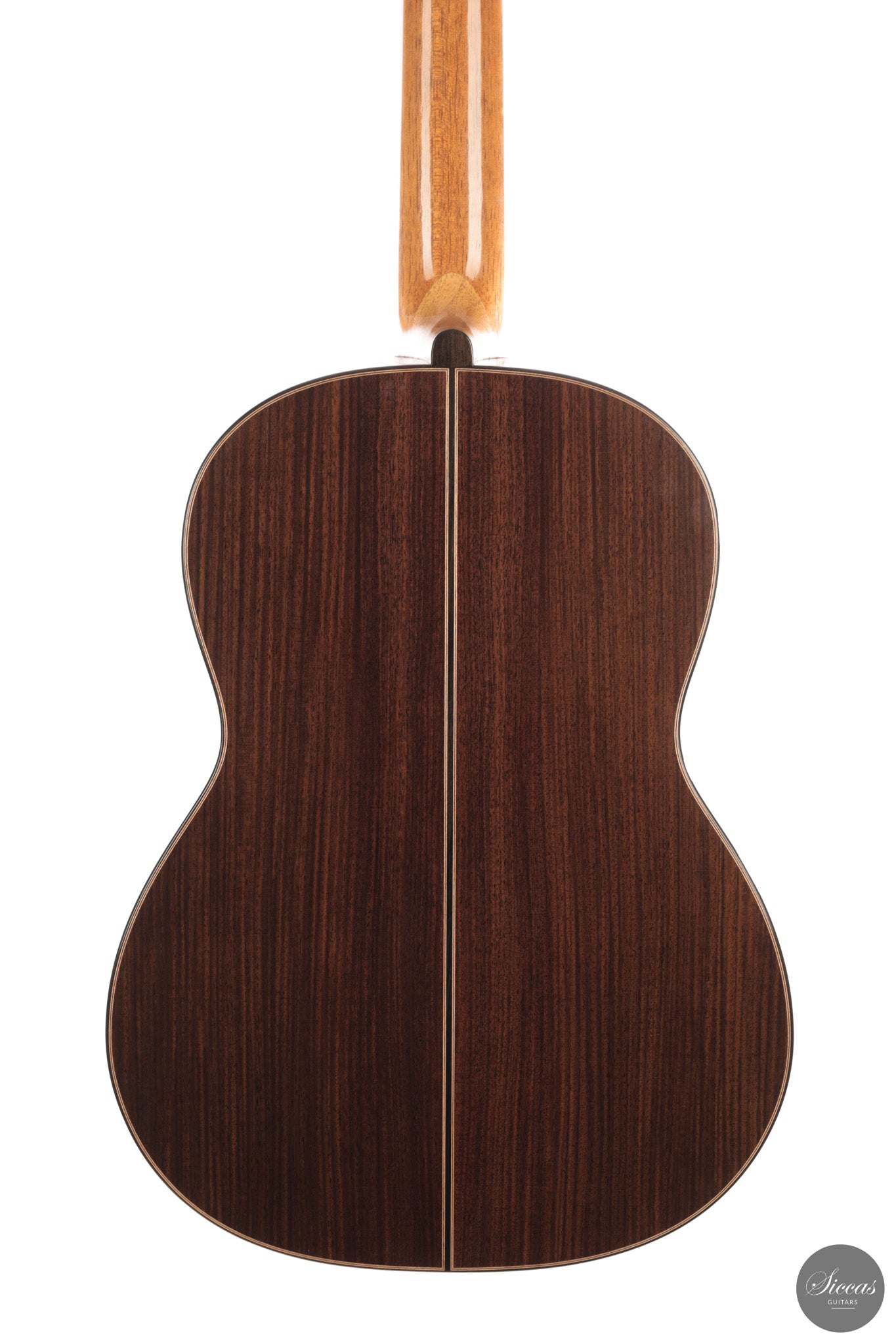Alessandro Perciaccante - 2026 No. 22 64 cm