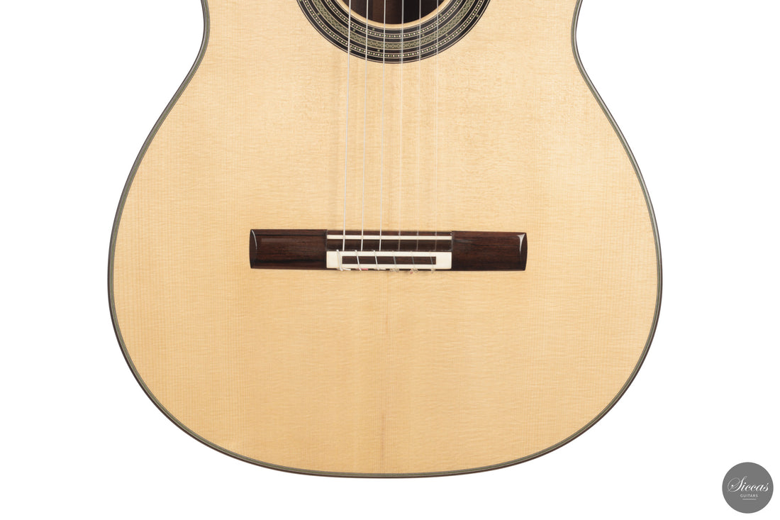 Alessandro Perciaccante - 2026 No. 22 64 cm
