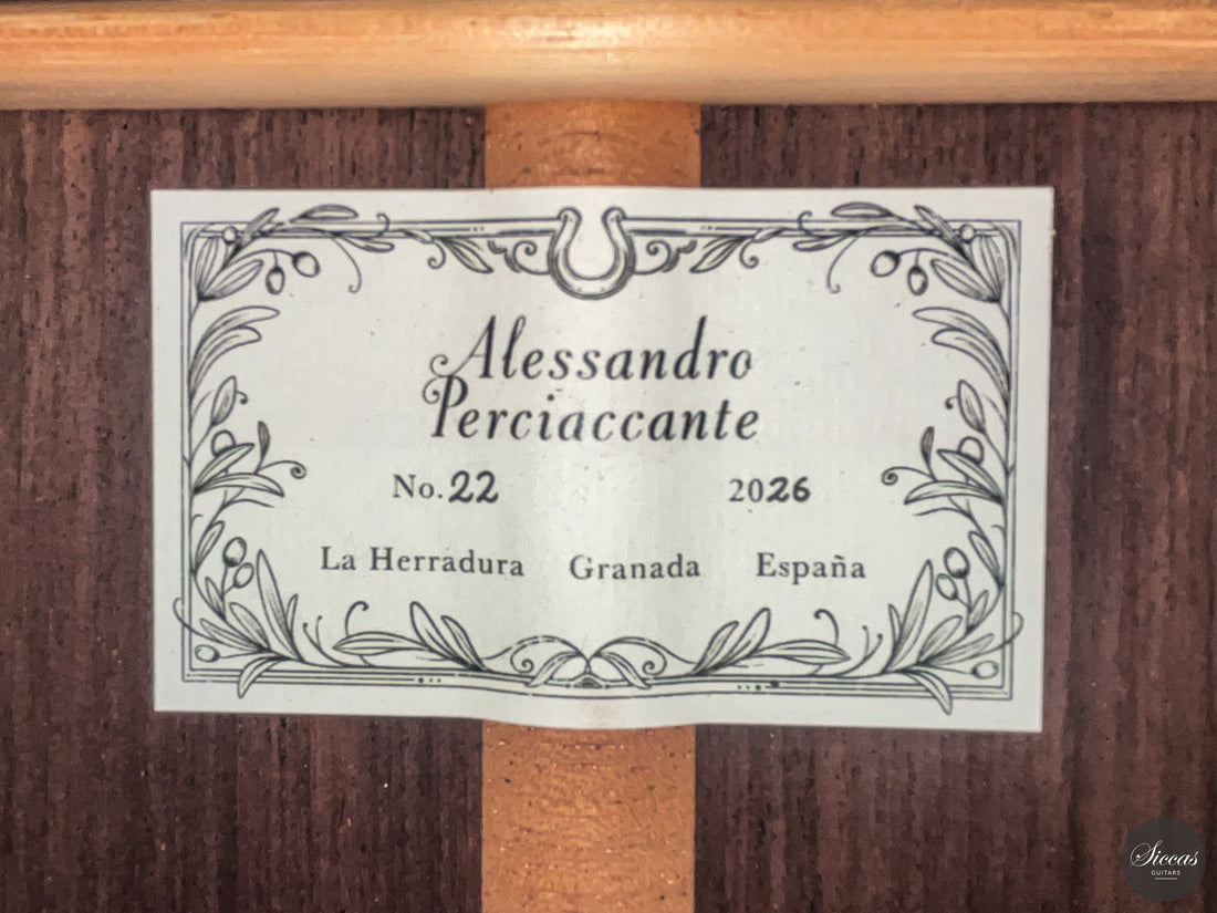 Alessandro Perciaccante - 2026 No. 22 64 cm