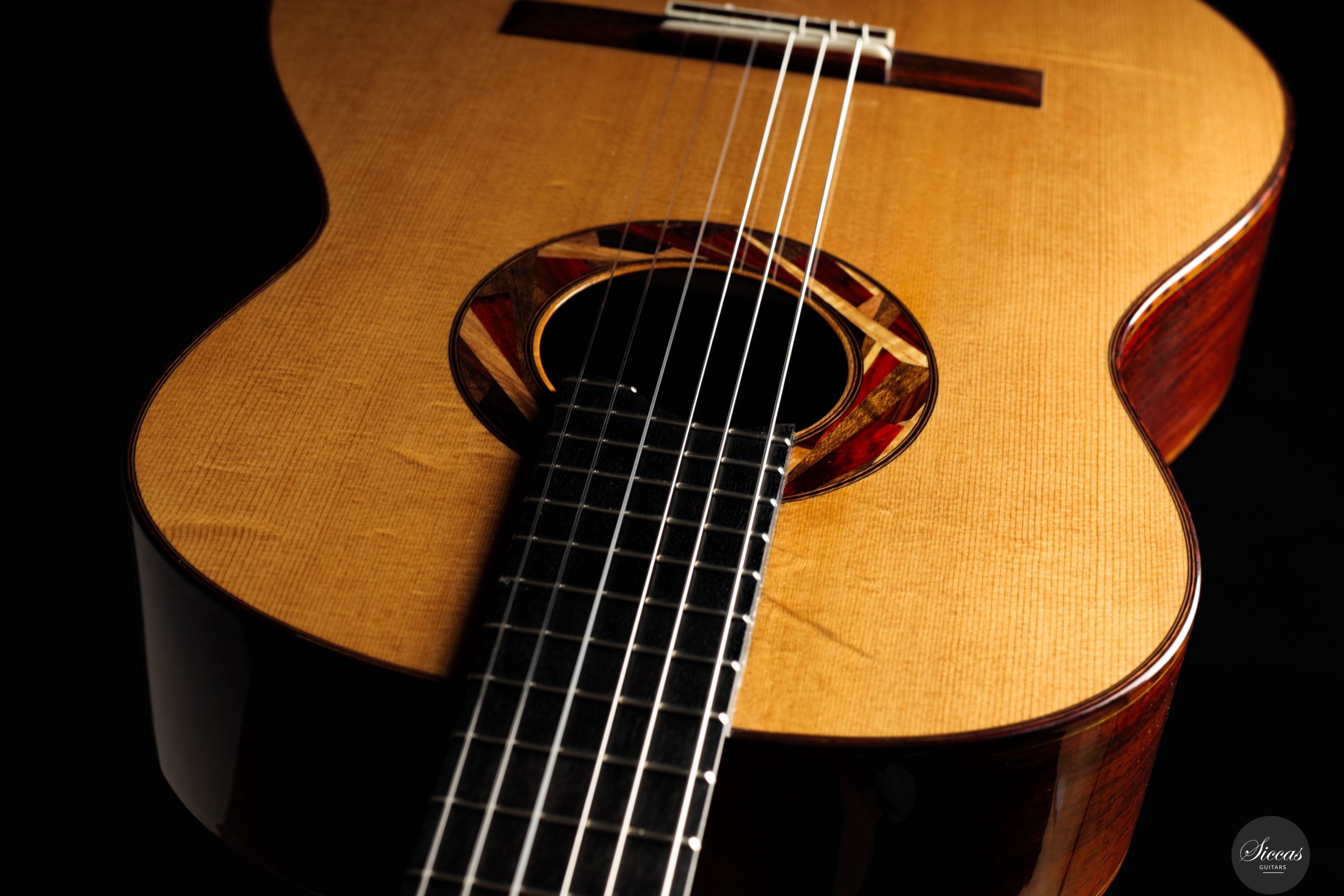 Aldo Illotta - 2025 - REG 2025 Limited Edition – Siccas Guitars