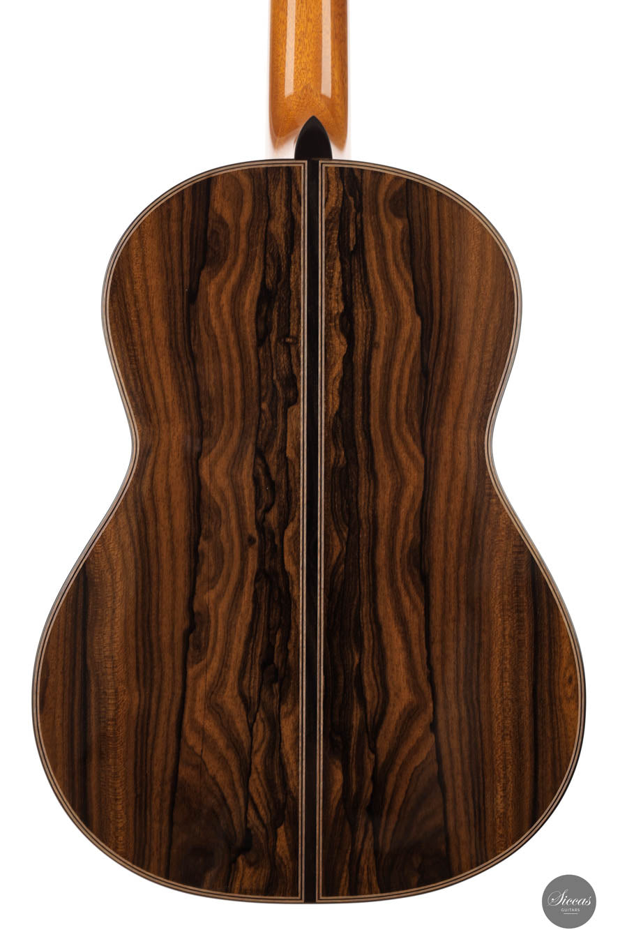 Andrea Stanzione – 2024 REG Limited Edition – Siccas Guitars