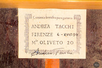 Andrea Tacchi - 1994 - Coclea 6/XVII - 65.5 cm