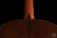 Andrea Tacchi - Coclea 2005 No. 296