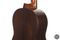 Andrea Tacchi - Coclea 2005 No. 296