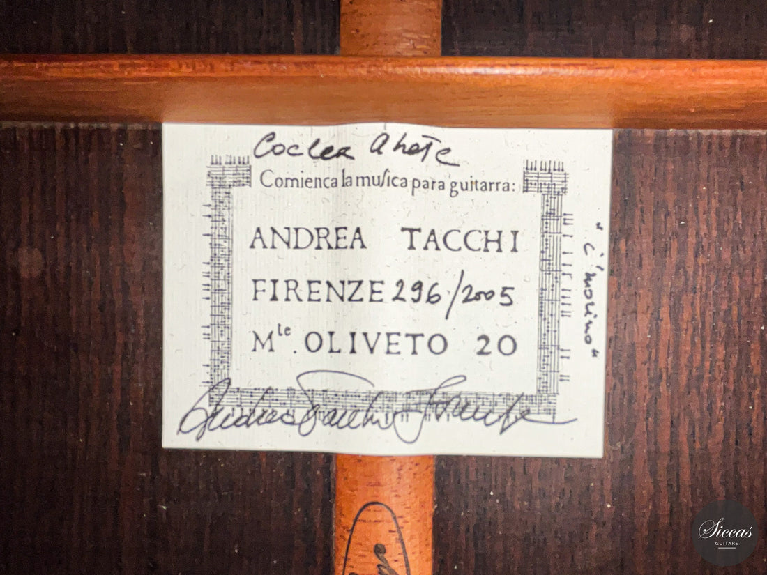 Andrea Tacchi - Coclea 2005 No. 296