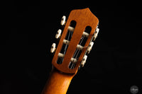 Andrea Tacchi - 2000 Coclea No. 235