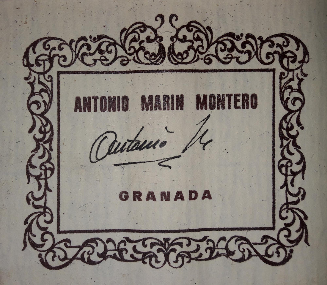 Antonio Marin Montero - 2000