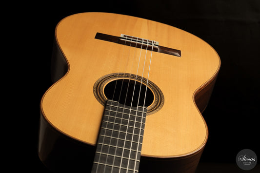 Antonio Raya Pardo - 2001 No. 750 img-2